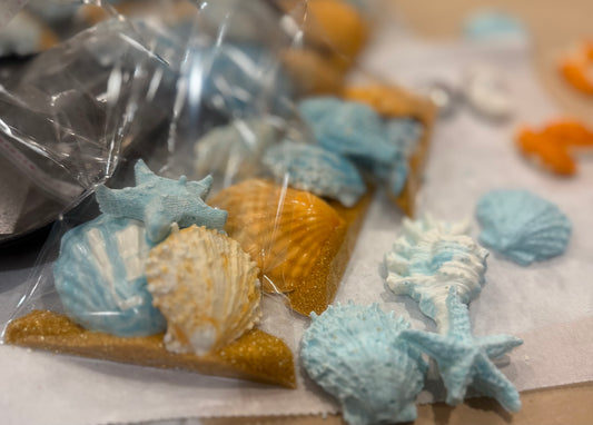 Sea Shell Beach Bag