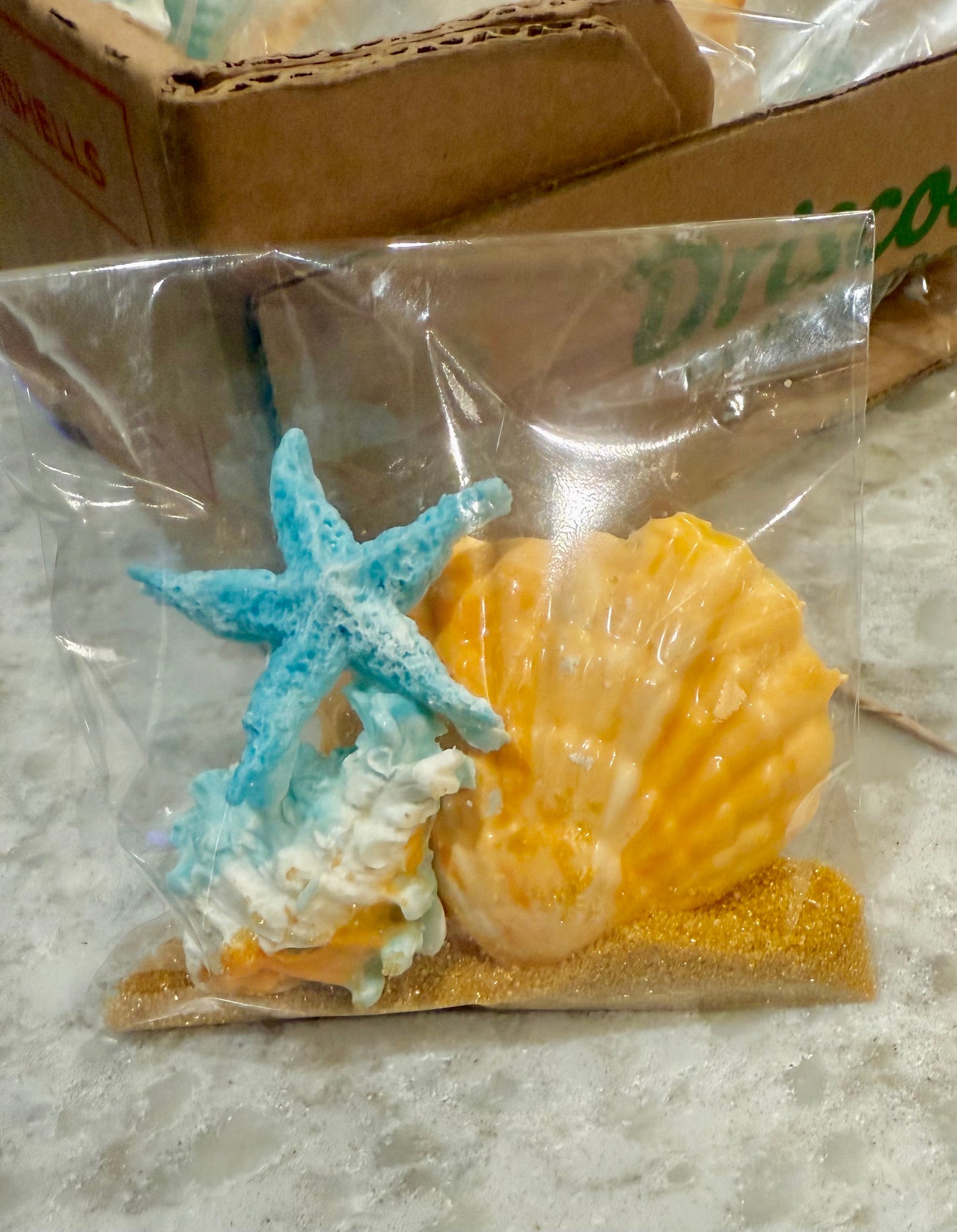 Sea Shell Beach Bag