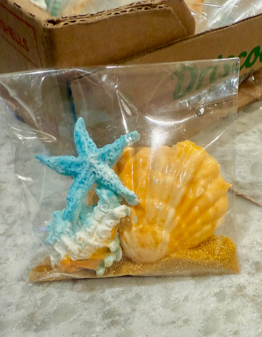 Sea Shell Beach Bag