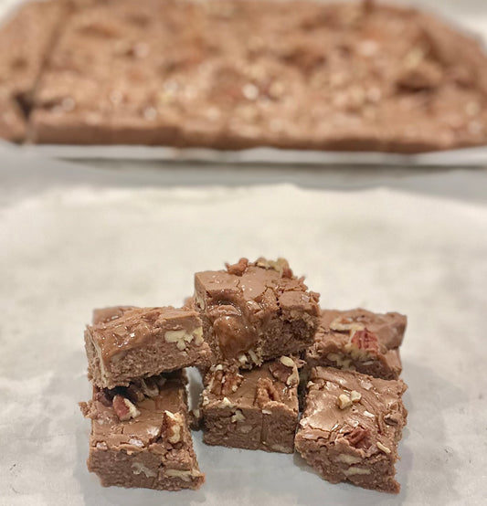 Turtle Turtle Fudge